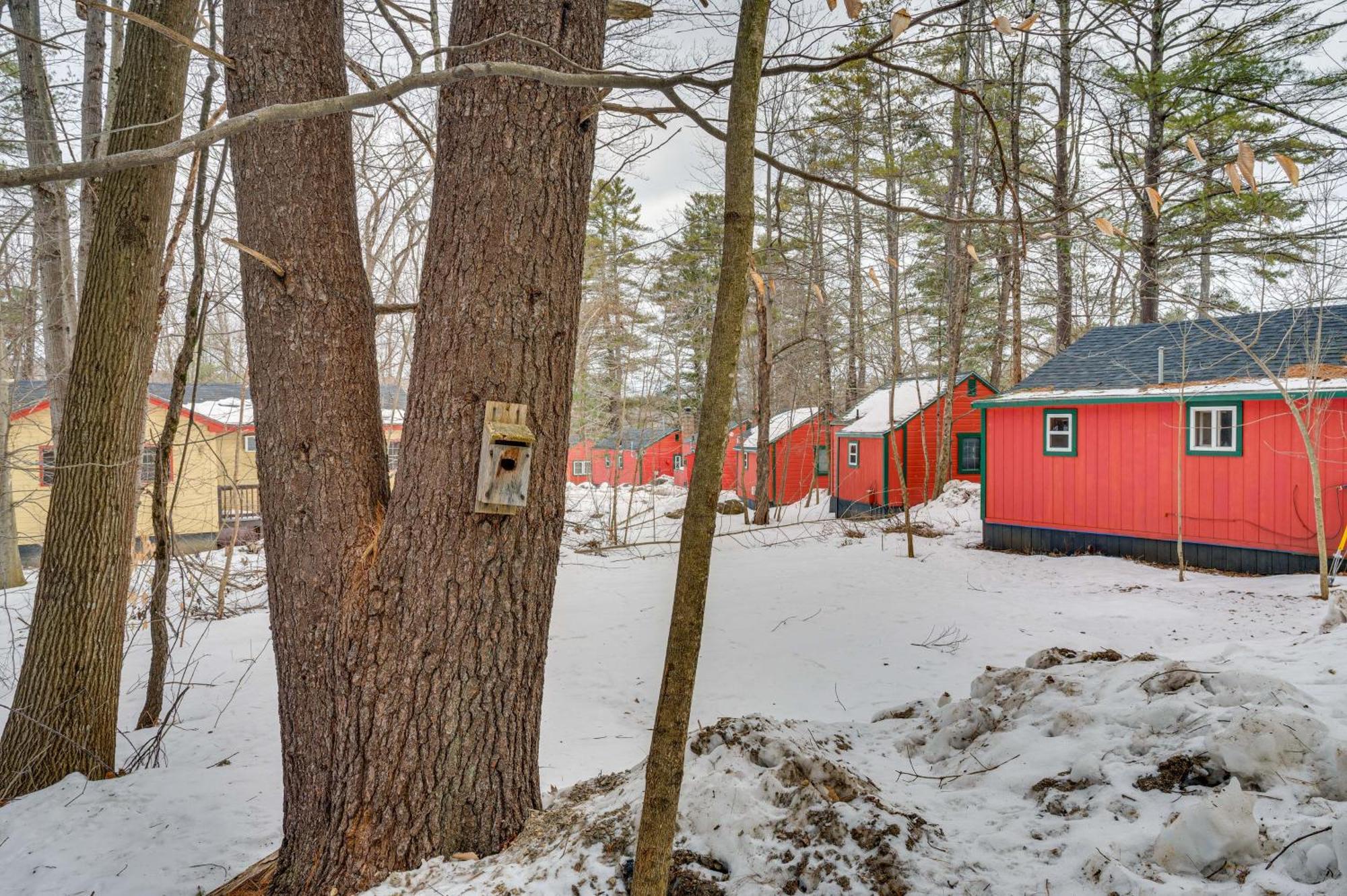 Cozy Laconia Studio With Pool Access - 2 Mi To Lake! Apartment Bagian luar foto